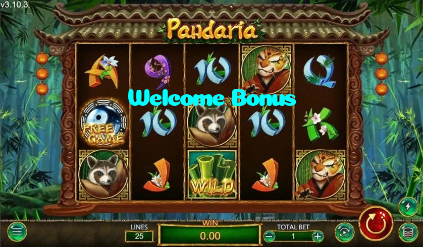 Welcome Bonus casino presented on mobile device in Pakistan with slots and live games